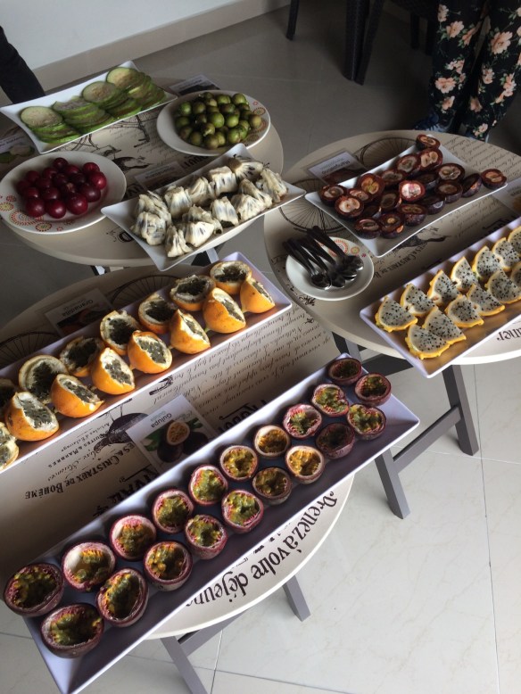 103256f0-264d-452d-b50b-e9133d215318