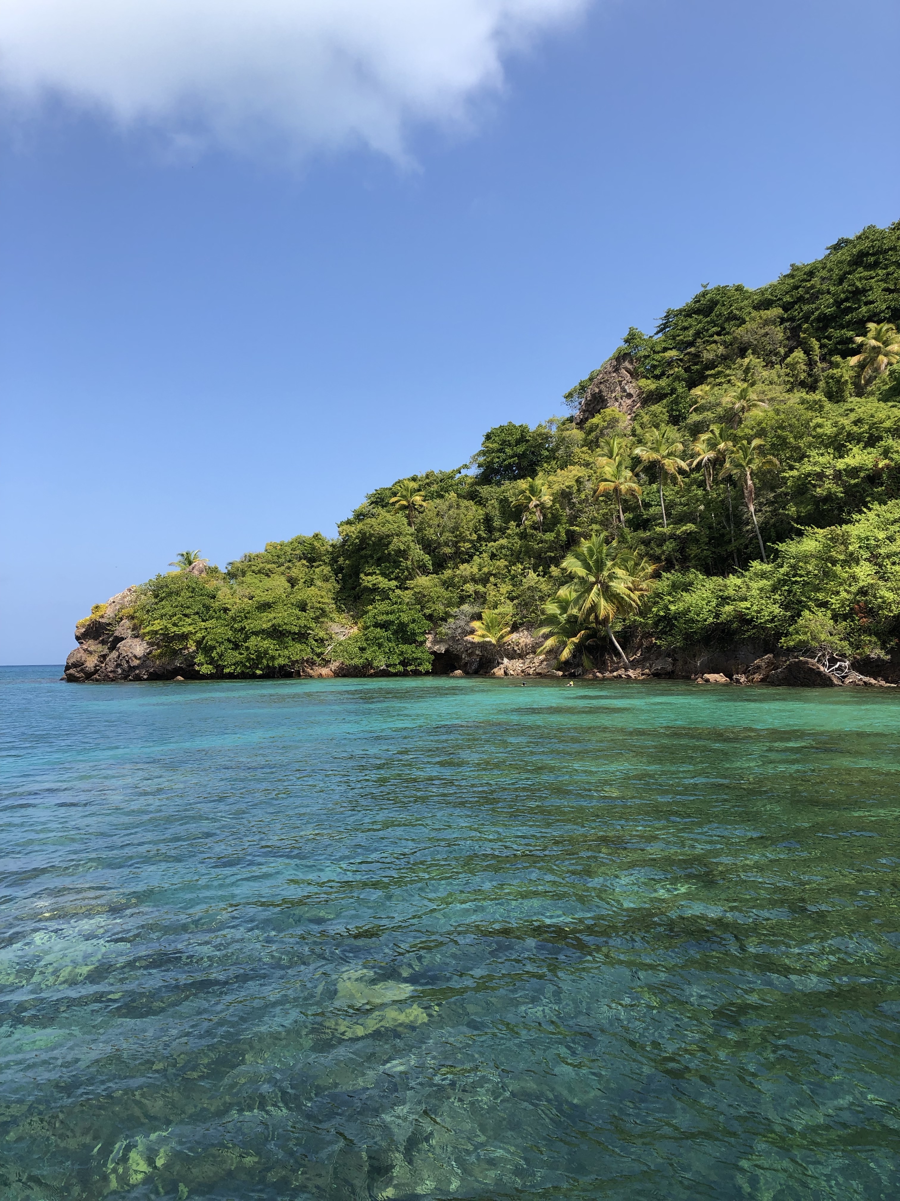 BF766A71-4F8C-4DFD-8D18-3554892B73AC