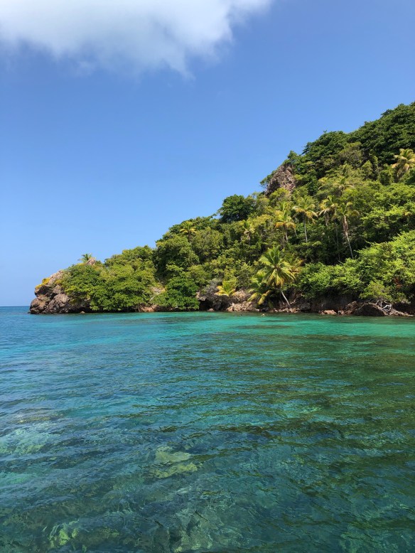 BF766A71-4F8C-4DFD-8D18-3554892B73AC