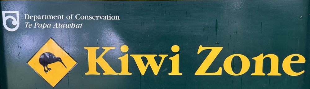 Les  chroniques de Morningsun